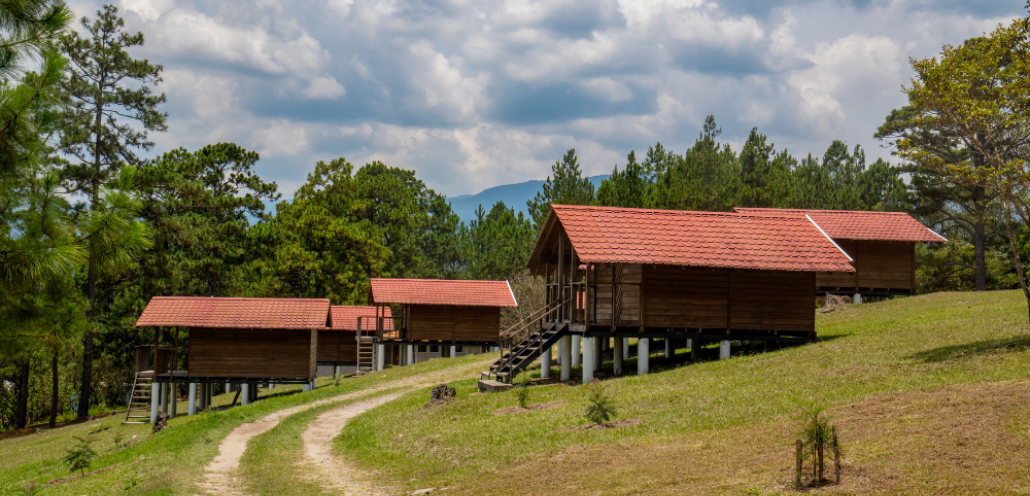 Diseño sin título (10)